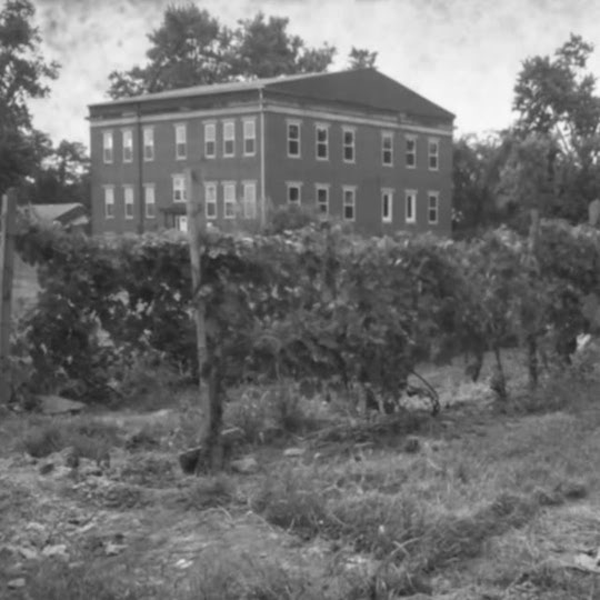 Schoolyard Winery building